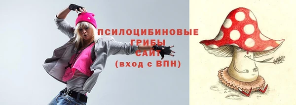 бошки Алексин