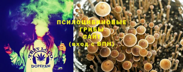 гидропоника Алзамай