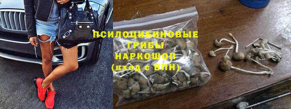 гидропоника Алзамай